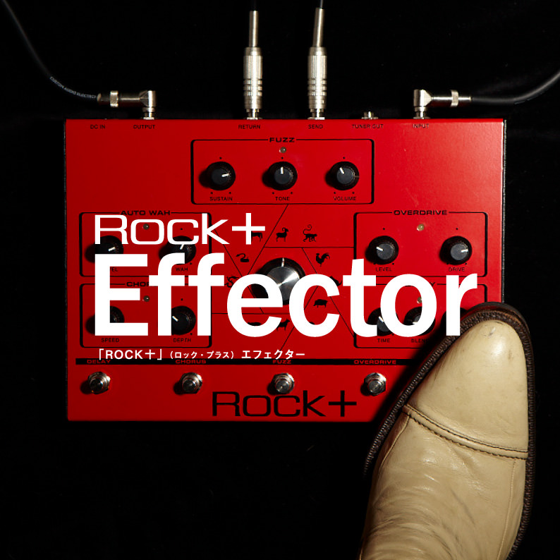 ROCK十 Effector